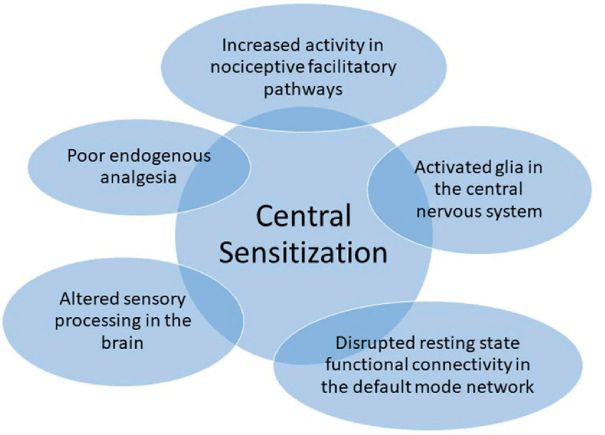 Foto 4: Billedet illustrerer mekanismen som ligger til grund for central sensibilisering.